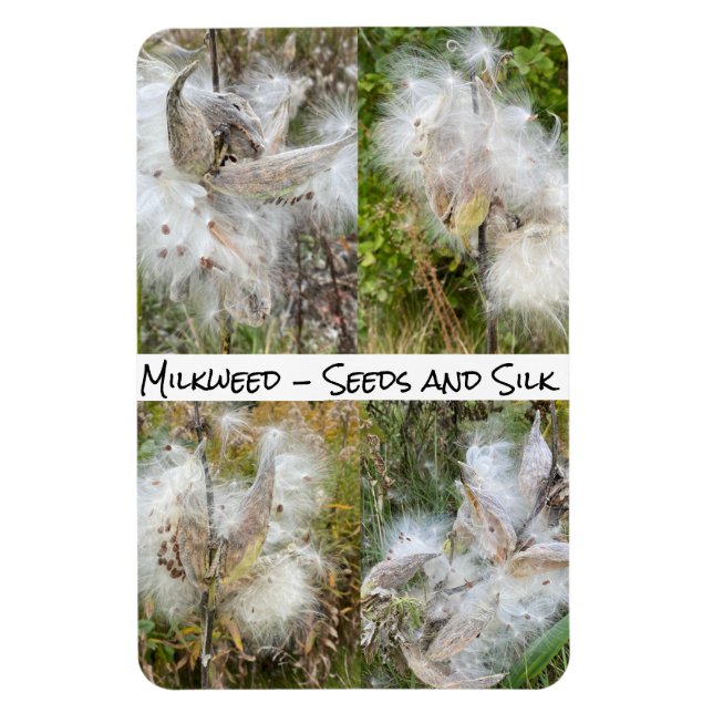 Milkweed | Natural Flexible Magnet (Vertical)
