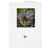 Milkweed Pod Frenzy Cards (Back)