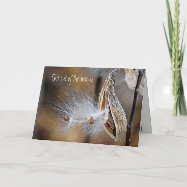Milkweed Pod Get Well Soon Card (Front)