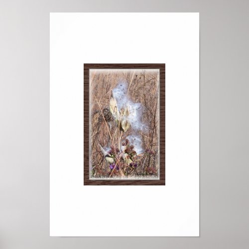 Milkweed Pod in Blow Poster