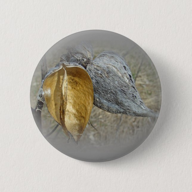 Milkweed Pods Pinback Button (Front)