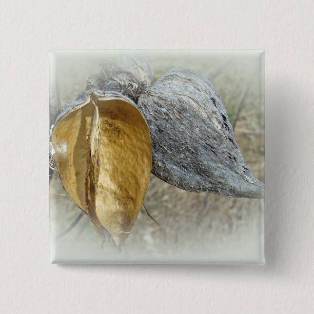 Milkweed Pods Pinback Button (Front)
