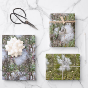 Milkweed Pods, Seeds and Silk Natural Wrapping Paper Sheets