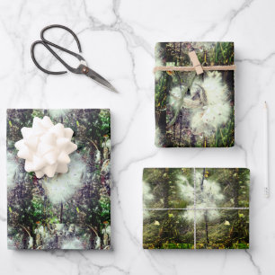 Milkweed Pods, Seeds and Silk Recoleta Wrapping Paper Sheets