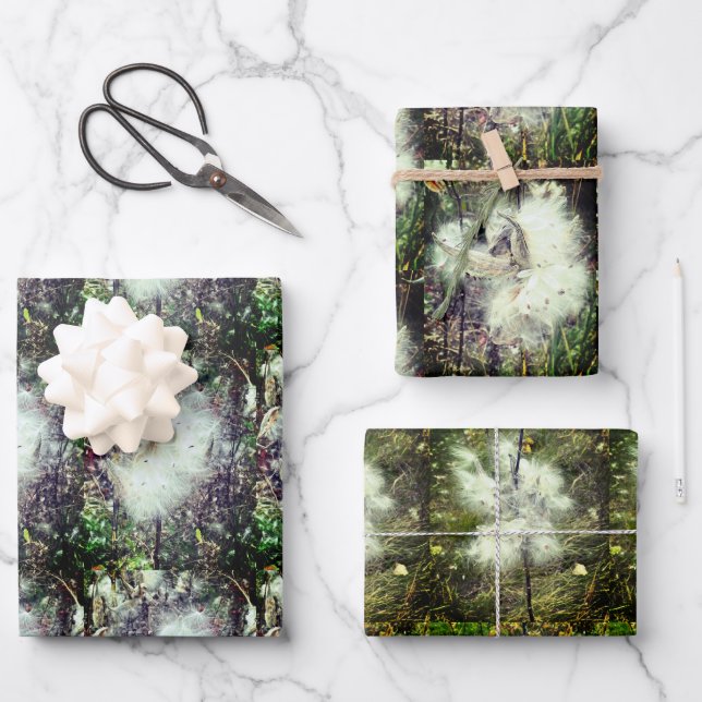 Milkweed Pods, Seeds and Silk | Recoleta | Wrapping Paper Sheets (Front)