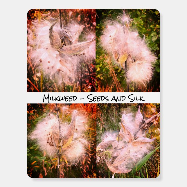 Milkweed | Sangria Foam Board (Front)