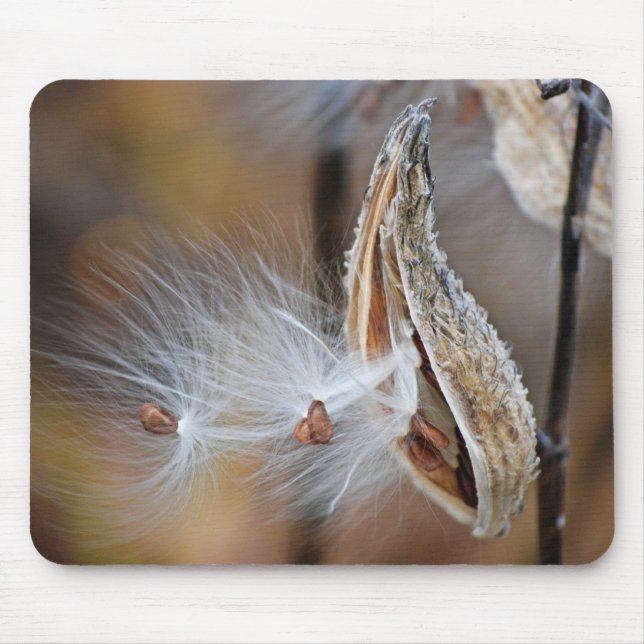milkweed seedling mouse pad (Front)