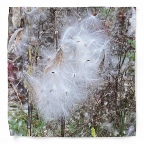 Milkweed Seeds and Silk Bandana