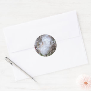 Milkweed Seeds and Silk Classic Round Sticker