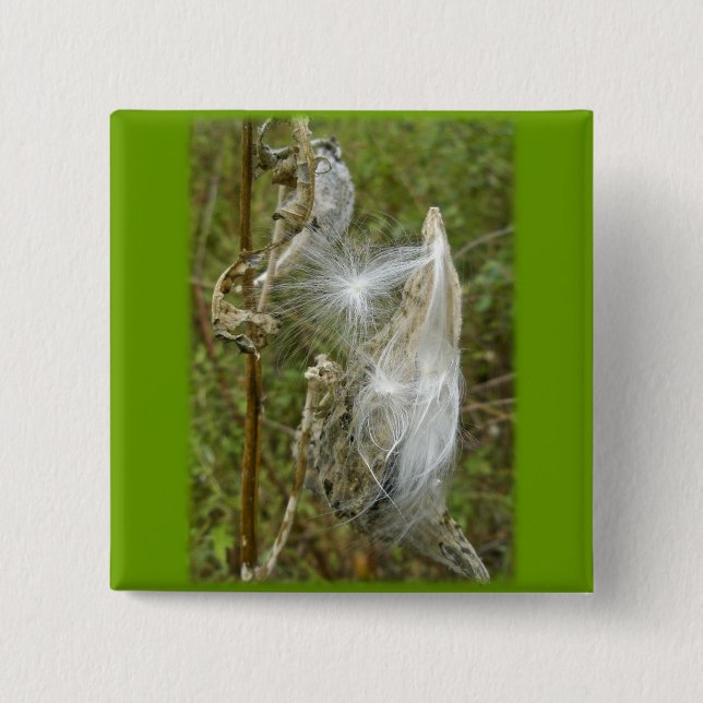 Milkweed Seeds Coordinating Items Pinback Button (Front)