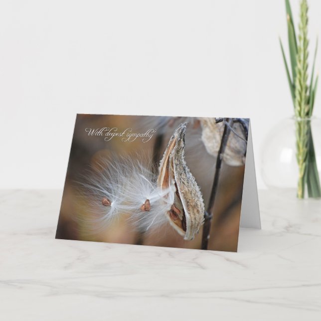 Milkweed Sympathy Card (Front)