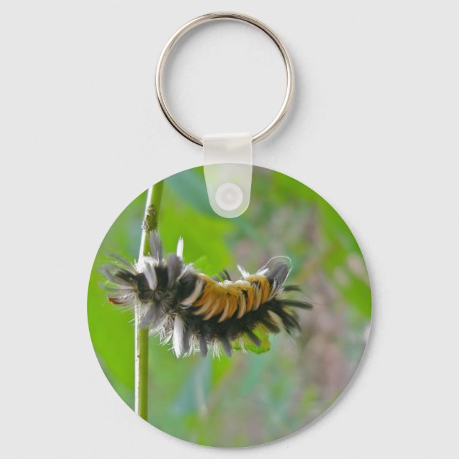 Milkweed Tussock Moth Caterpillar Items Keychain (Front)
