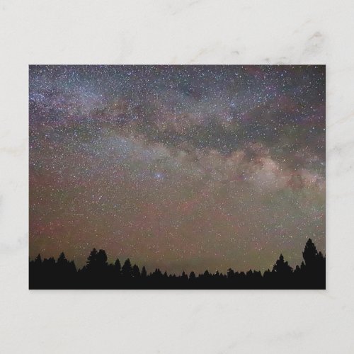 Milky Way and Stars Night Sky over Pine Trees Postcard