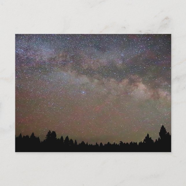 Milky Way and Stars, Night Sky over Pine Trees Postcard (Front)