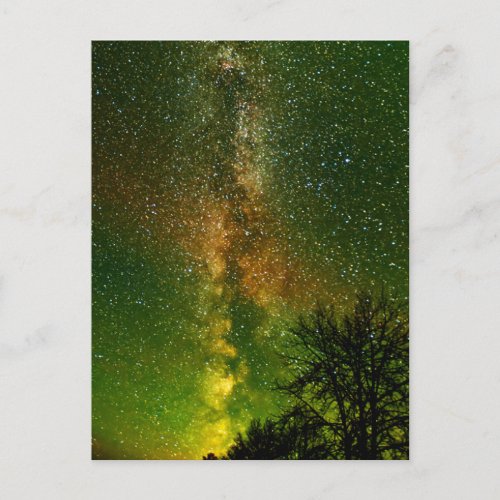 Milky Way  Aurora Borealis  Ontario Canada Postcard