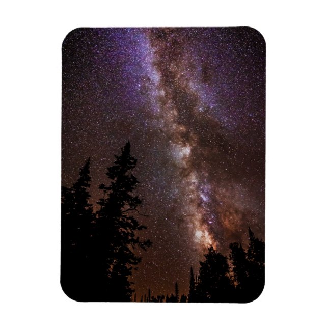 Milky Way | Cedar Breaks National Monument Utah Magnet (Vertical)