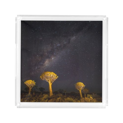 Milky Way Quiver Tree  Keetmanshoop Namibia Acrylic Tray