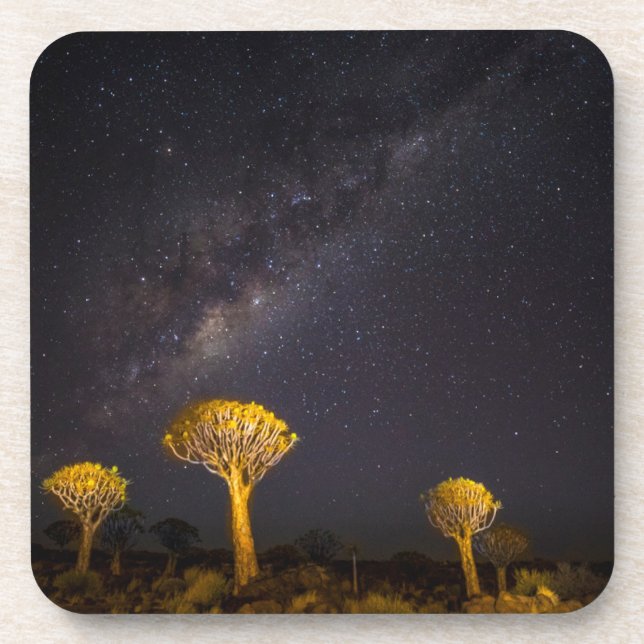 Milky Way Quiver Tree | Keetmanshoop Namibia Beverage Coaster (Front)