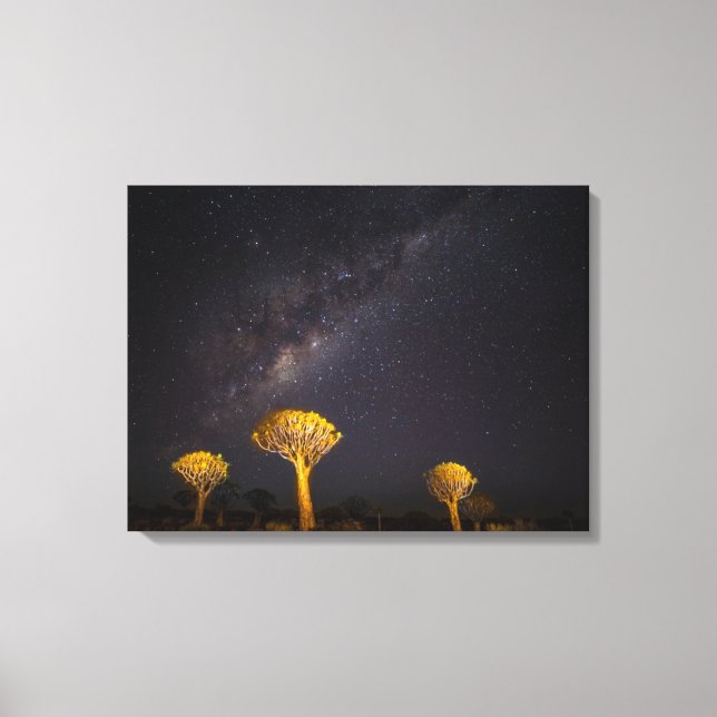 Milky Way Quiver Tree | Keetmanshoop Namibia Canvas Print (Front)