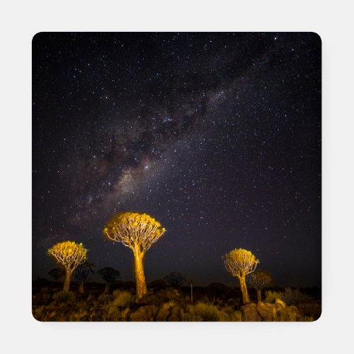 Milky Way Quiver Tree  Keetmanshoop Namibia Coaster Set