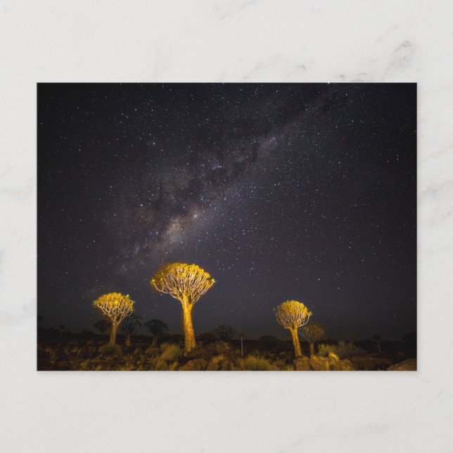 Milky Way Quiver Tree | Keetmanshoop Namibia Postcard (Front)