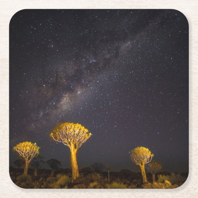 Milky Way Quiver Tree | Keetmanshoop Namibia Square Paper Coaster (Front)