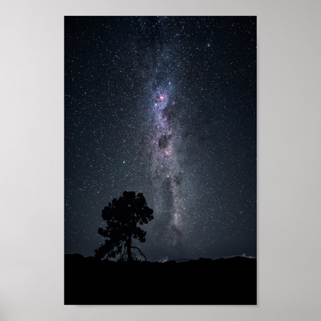 milky way stars and a tree poster (Front)
