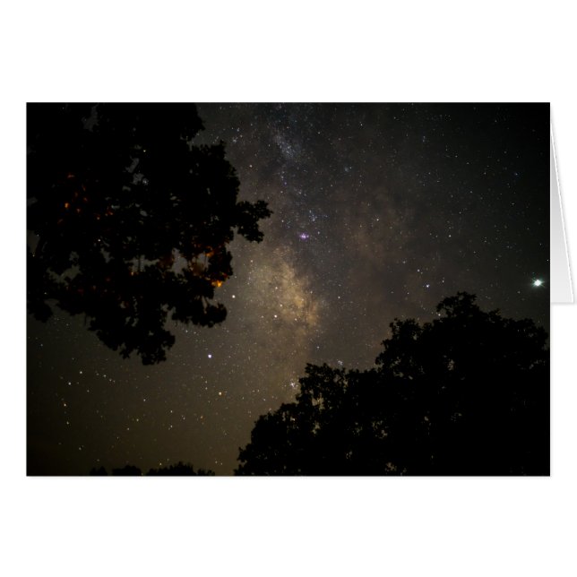 Milky Way Trees Cards (Front Horizontal)