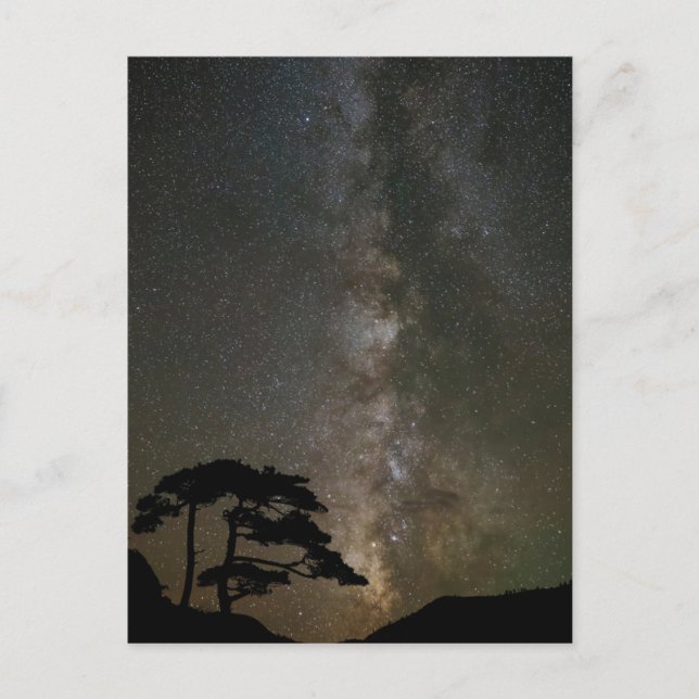 Milky Way with Tree | Ouray Colorado Postcard (Front)