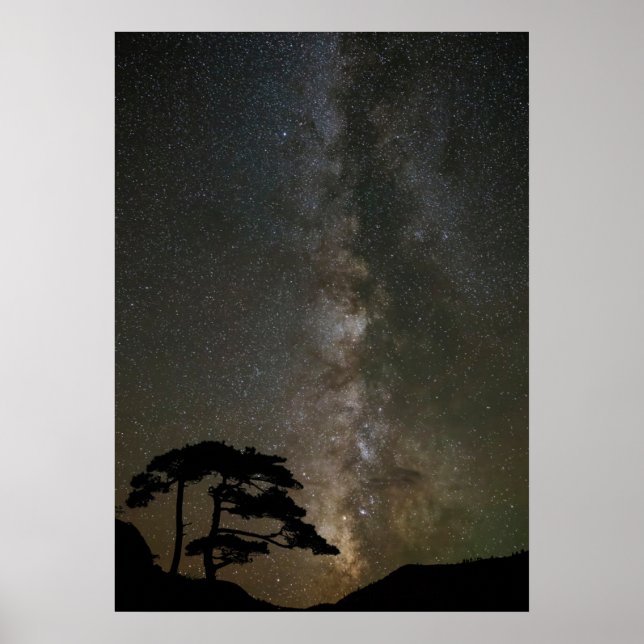Milky Way with Tree | Ouray Colorado Poster (Front)