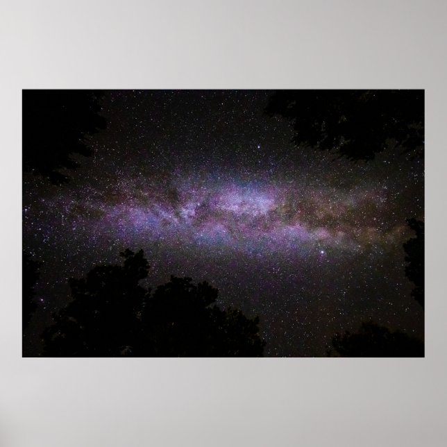 Milky way with trees silhouette poster (Front)