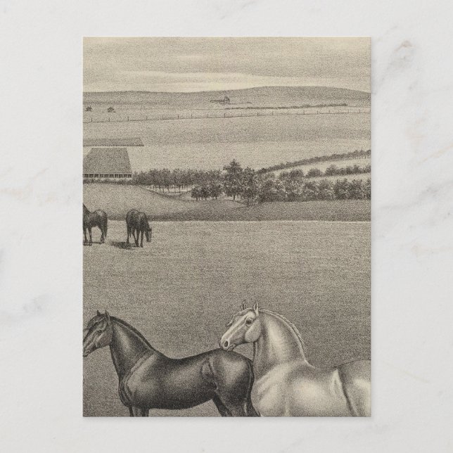 Mill Brae Ranch, Kansas Postcard (Front)