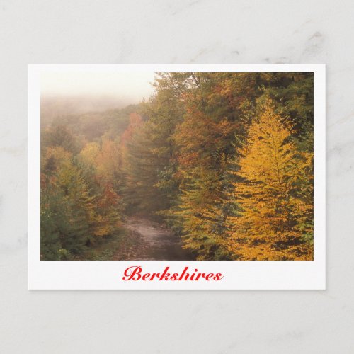 Mill Brook Autumn Berkshires Stream Postcard