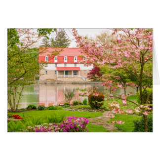 Mill in spring with pond cards