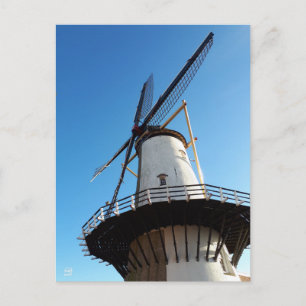 Mill in the Netherlands in Willemstad. Postcard