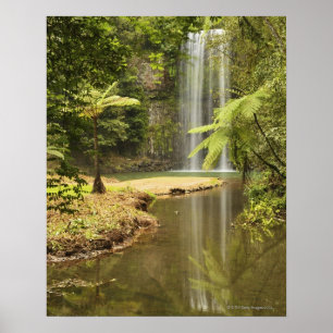 Millaa Millaa Falls, Atherton Tableland Poster