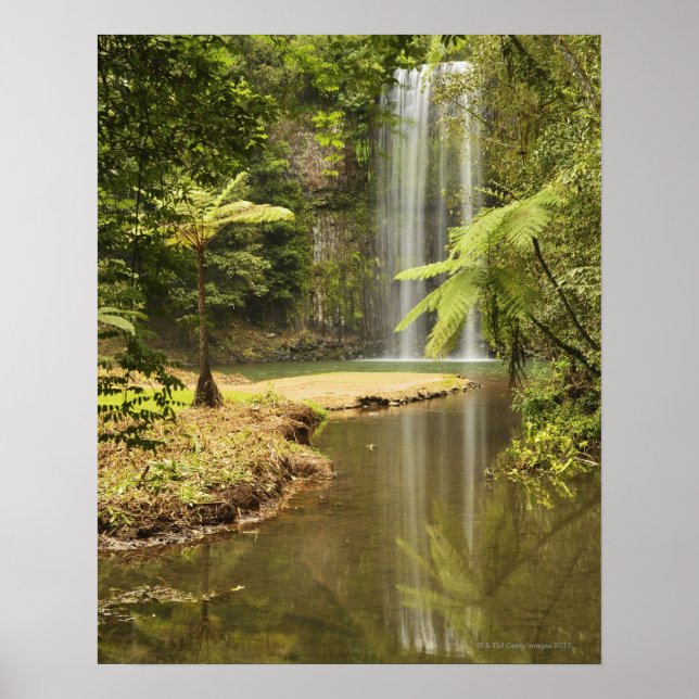 Millaa Millaa Falls, Atherton Tableland Poster (Front)