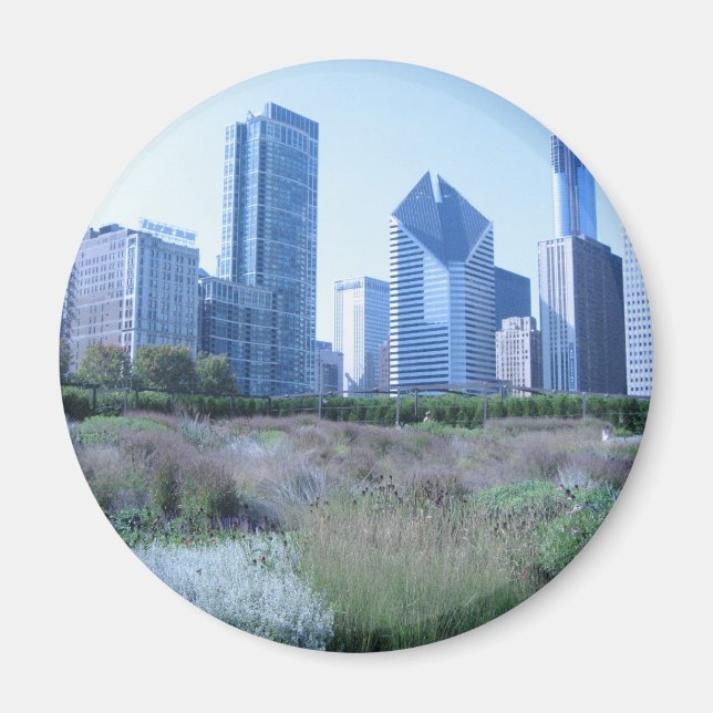 Millennium Park Magnet (Front)