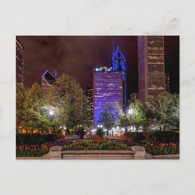 Millennium Park Spring Season Night Postcard (Front)