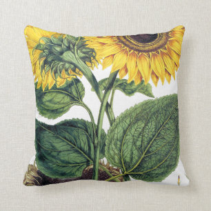 Miller: Sunflower Throw Pillow