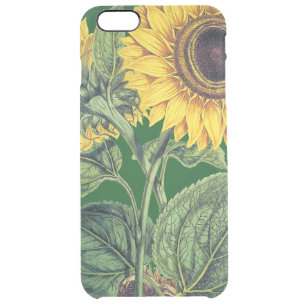 Miller: Sunflower Clear iPhone 6 Plus Case