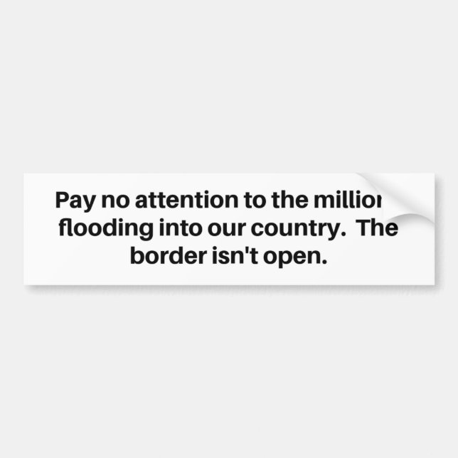 Millions Flooding Into Our Country - Border Open? Bumper Sticker (Front)