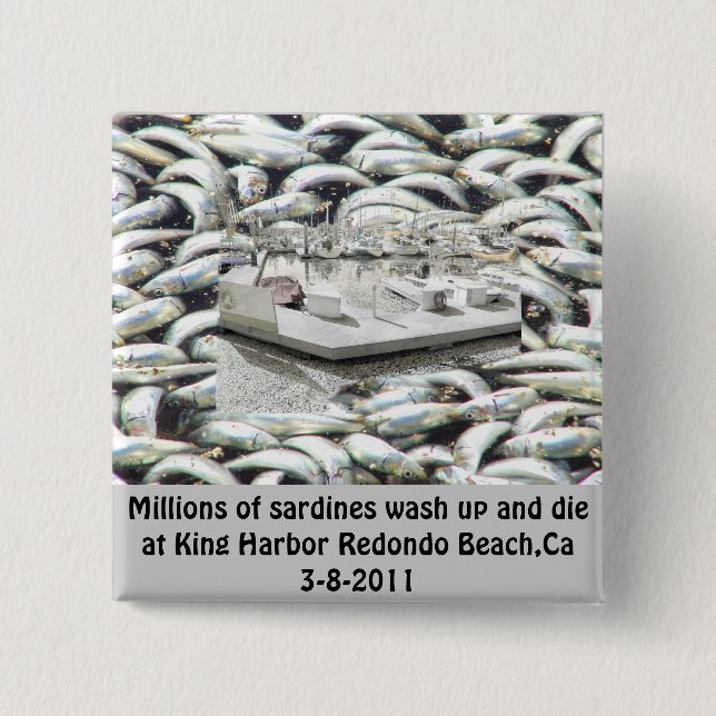 Millions of Sardines 3-8-2011_ Button (Front)
