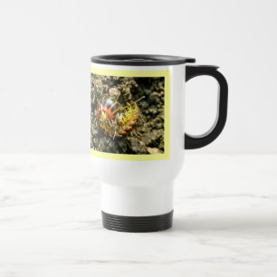 Millipede Polydesmida (Sigmoria aberrans) Items Travel Mug