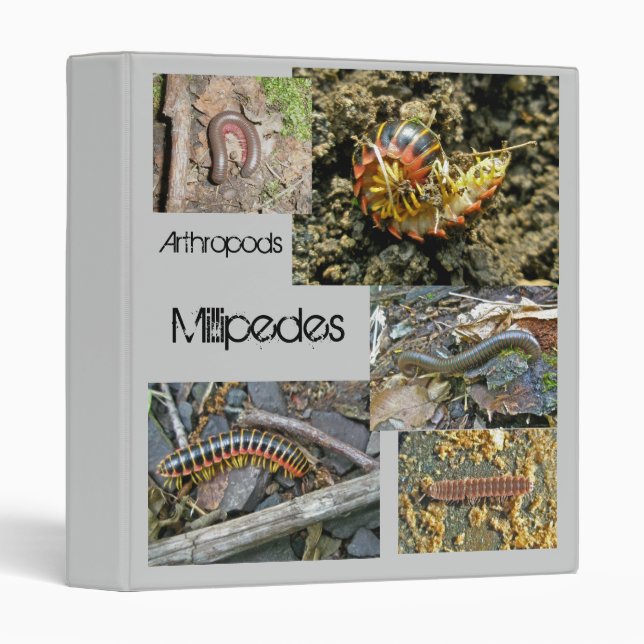 Millipede Series Items Binder (Front/Spine)