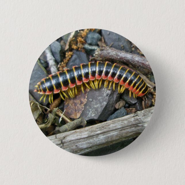 Millipede Series Items Button (Front)