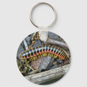 Millipede Series Items Keychain
