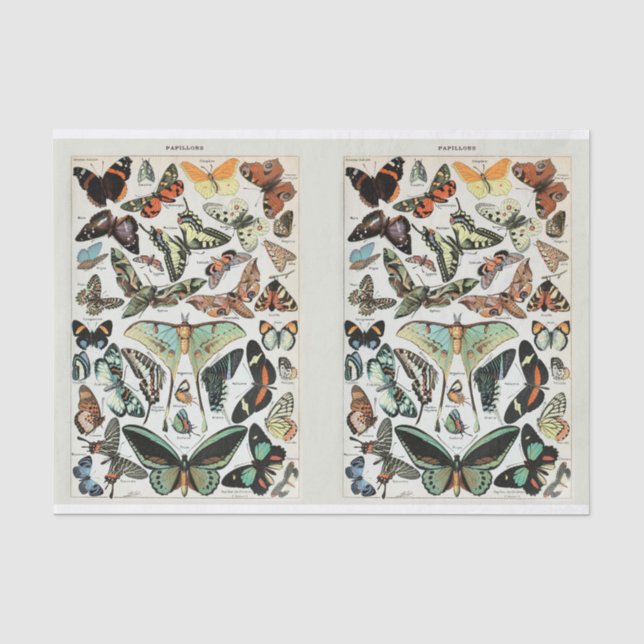 Millot, Butterflies & Moths, Decoupage Tissue Paper (Front)