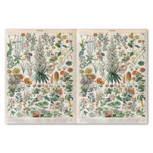 Millot Illustrations Botanical Decoupage  Tissue Paper