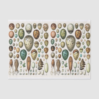 Millot Illustrations, Eggs, Decoupage Tissue Paper